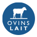 Ovins Lait