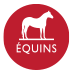 Equins