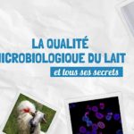 Qualité microbiologique du lait