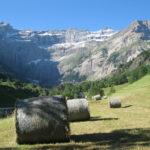 Balles de foin dans les Pyrénées