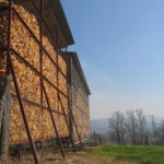 Maïs grain en Pyrénées-Atlantiques