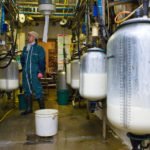 compteur à lait salle de traite